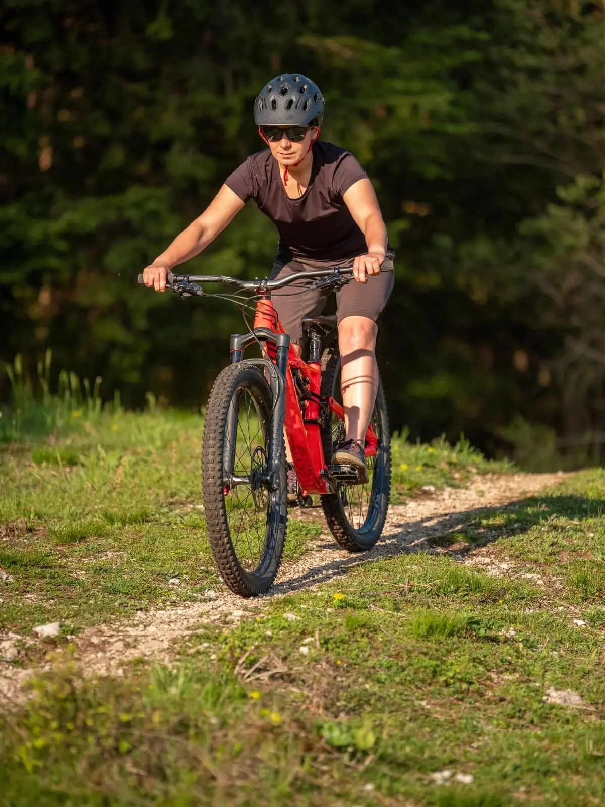 SkyResort - Mountain Biking